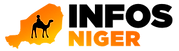 Infos-Niger Logo