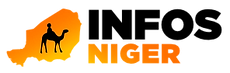 Infos-Niger Logo Niger Actualités Annuaire entreprise